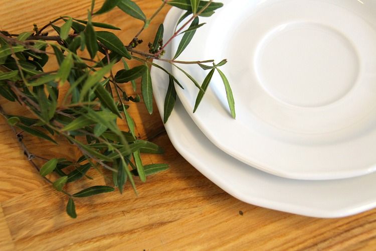 Puupöydällä kaksi kaunista valkoista lautasta päällekkäin, vieressä kimppu vihreitä oksia.
